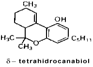 THC - Princ&iacute;pio Ativo da Maconha